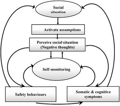 Review of EEG, ERP, and Brain Connectivity Estimators as Predictive Biomarkers of Social Anxiety Disorder